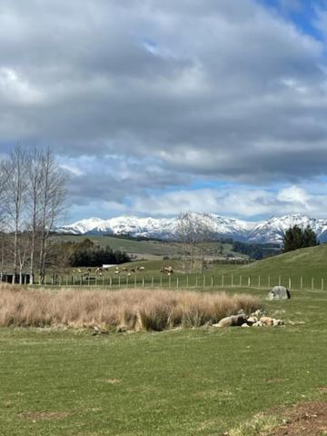 Boutique Tiny House - Te Anau Country Accommodation Dış mekan fotoğraf