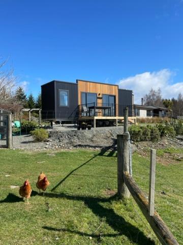 Boutique Tiny House - Te Anau Country Accommodation Dış mekan fotoğraf